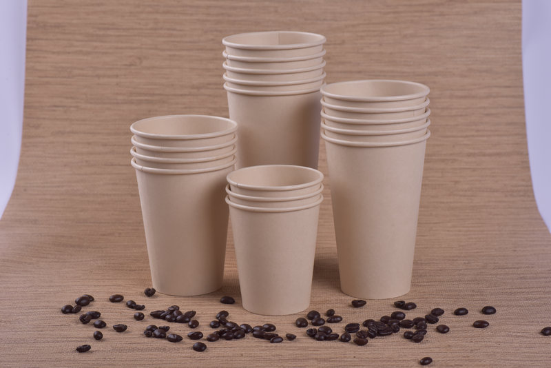 Biodegradable Bamboo Pulp Paper Cup